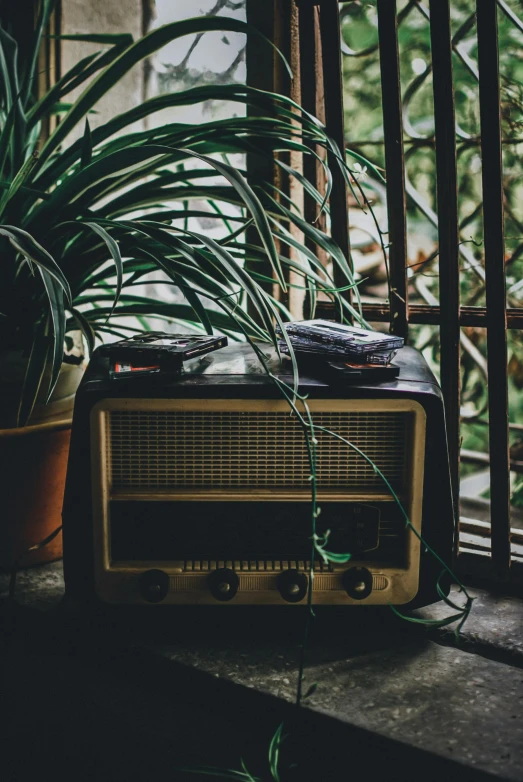 an old radio and plants are on a porch