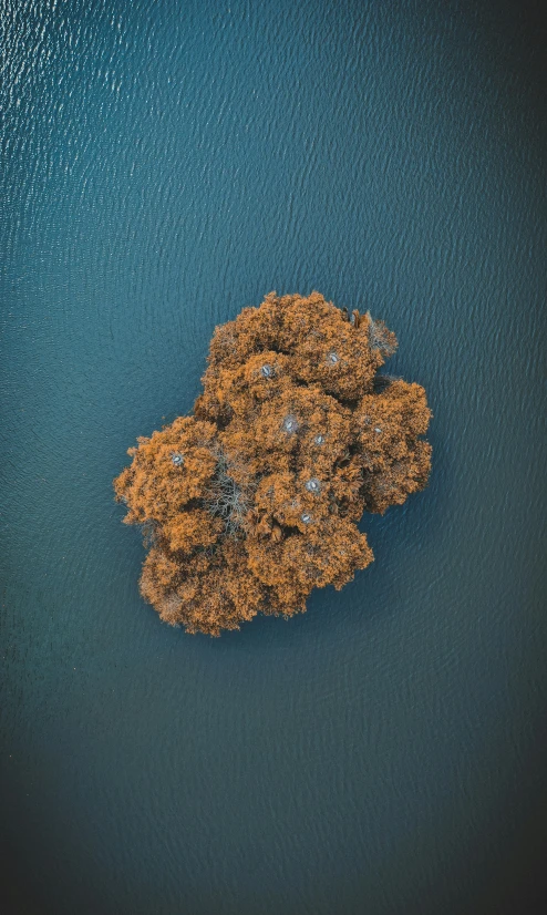 a small cluster of orange rocks in water