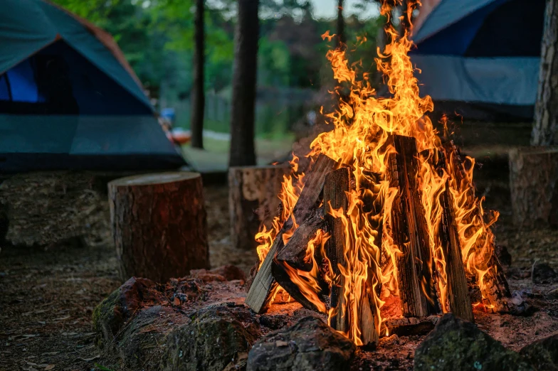 a fire blazing and a tent full of trees