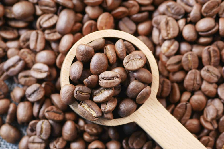 a cup that is next to some coffee beans