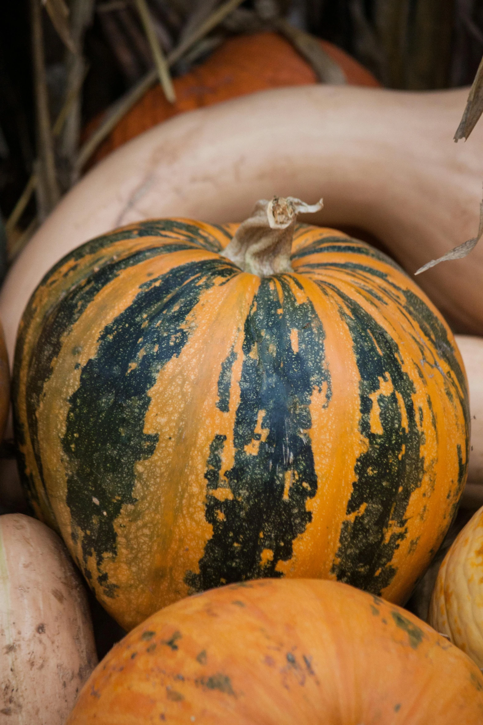 a couple of pumpkins on display outside