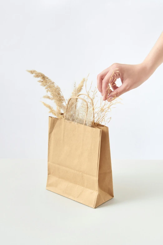 a hand is placing a plant in the brown paper bag