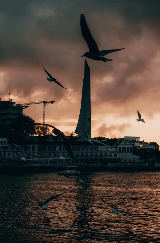 birds flying above a large body of water