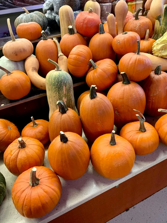 a bunch of pumpkins sitting on a table