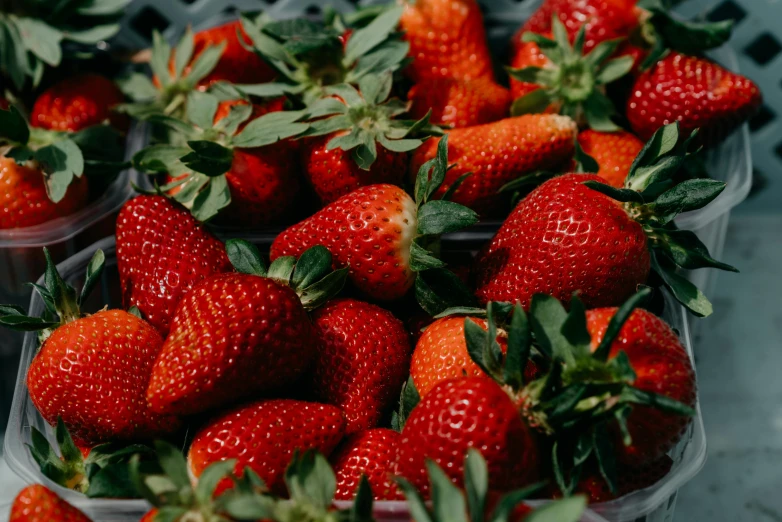 several plastic container filled with fresh strawberries