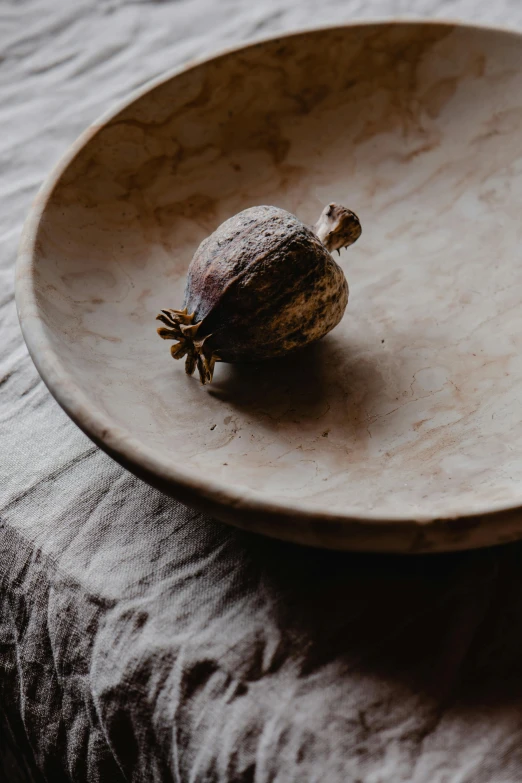 a piece of walnut sits on top of a plate