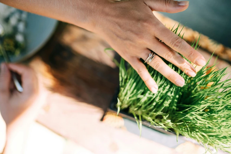 a woman is holding some grass on her finger