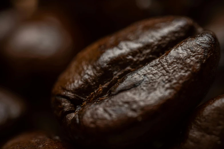 two coffee beans sitting side by side