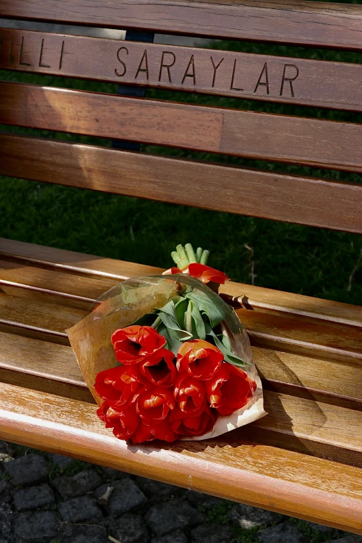 red flowers laying on the wooden bench at the park