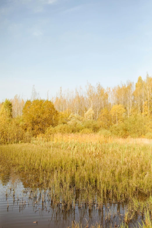 some very pretty water in a big grassy field