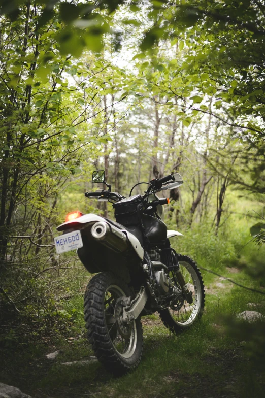 a black motorcycle parked in the grass on a wooded path