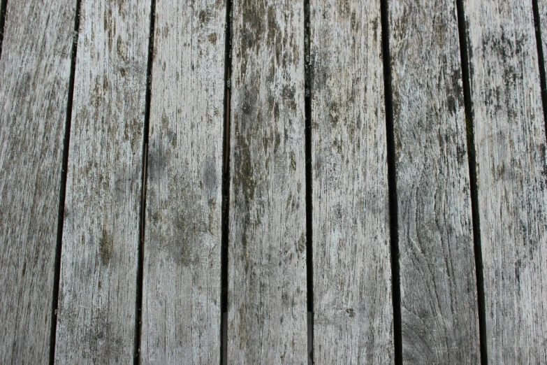 the background shows a very old, wooden pier with boards