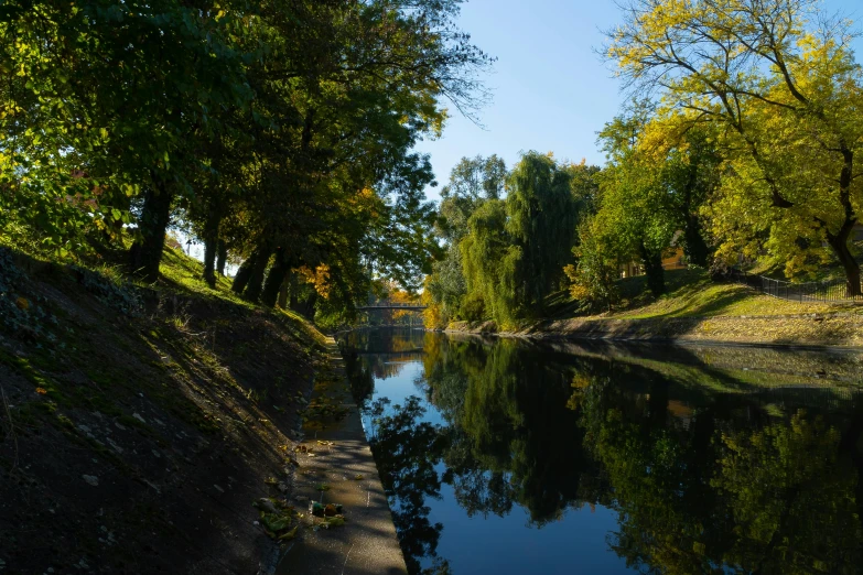 the sun is shining on the trees and the water