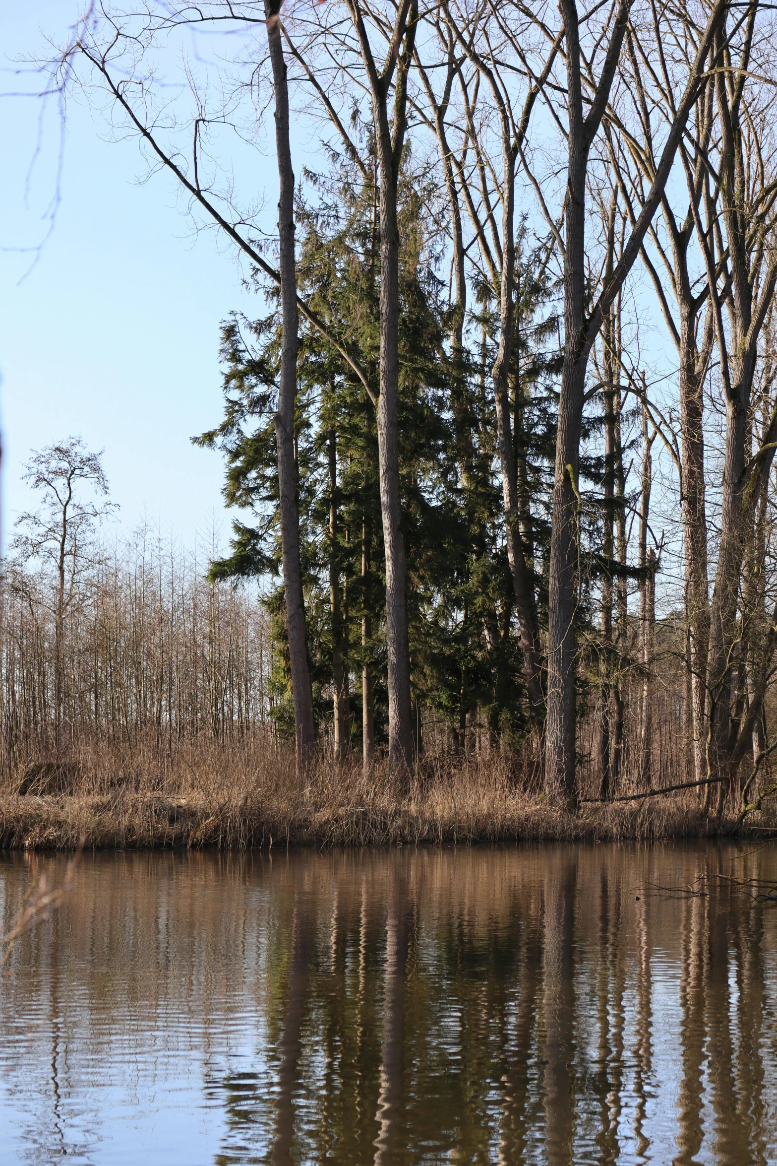 a man on horseback rides down the riverbank