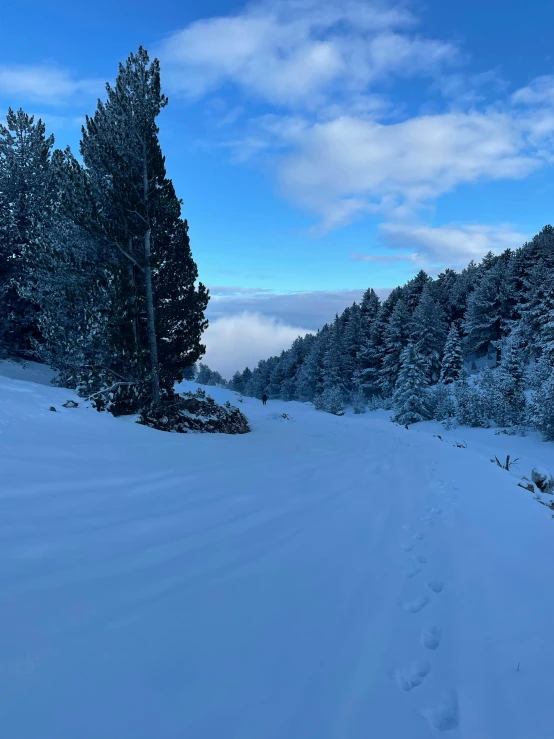 there is a path with snow on both sides