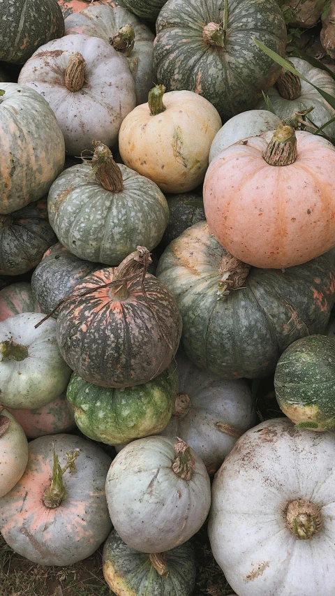 a bunch of pumpkins sitting in a pile together