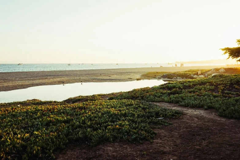 the path goes along the beach towards the ocean