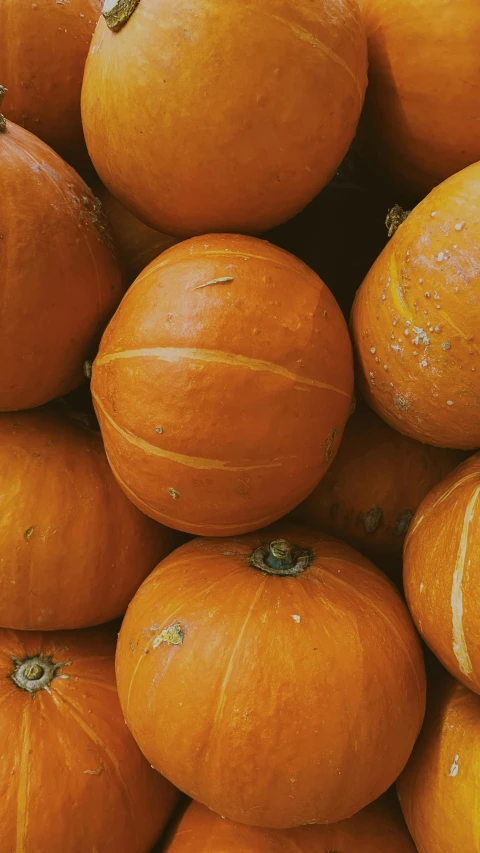 a pile of orange squash piled together for sale