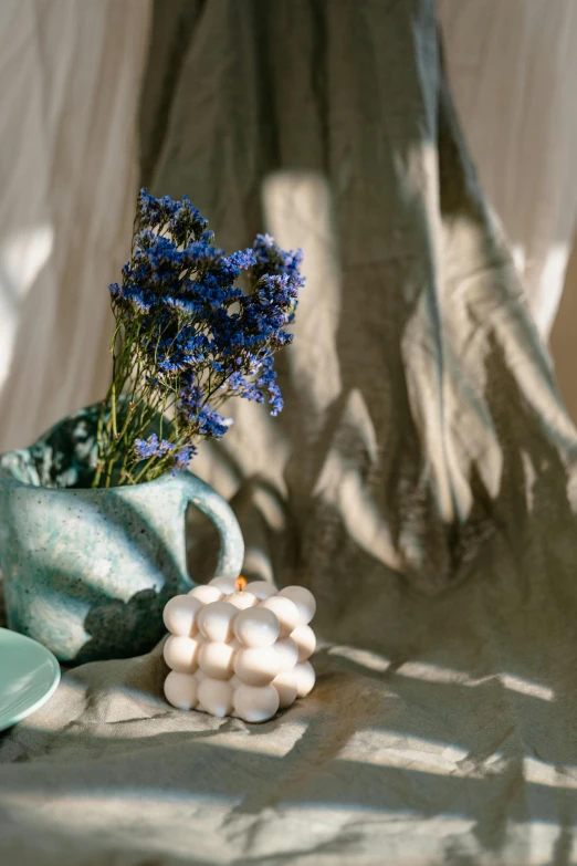 flowers in a pot and saucers on the table