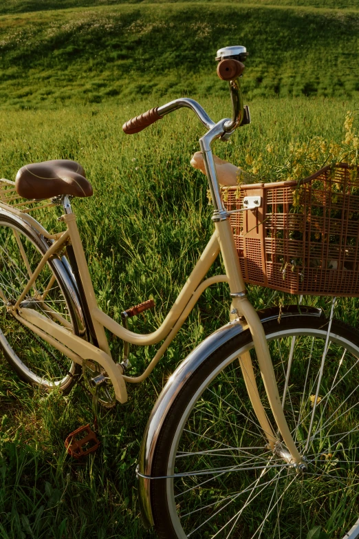 a bicycle parked in the grass near a basket