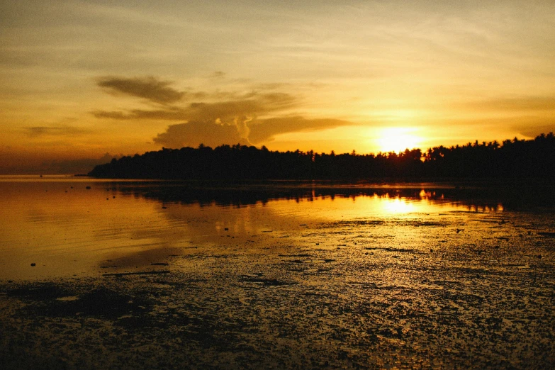 a very dark sunset over the water with some small trees