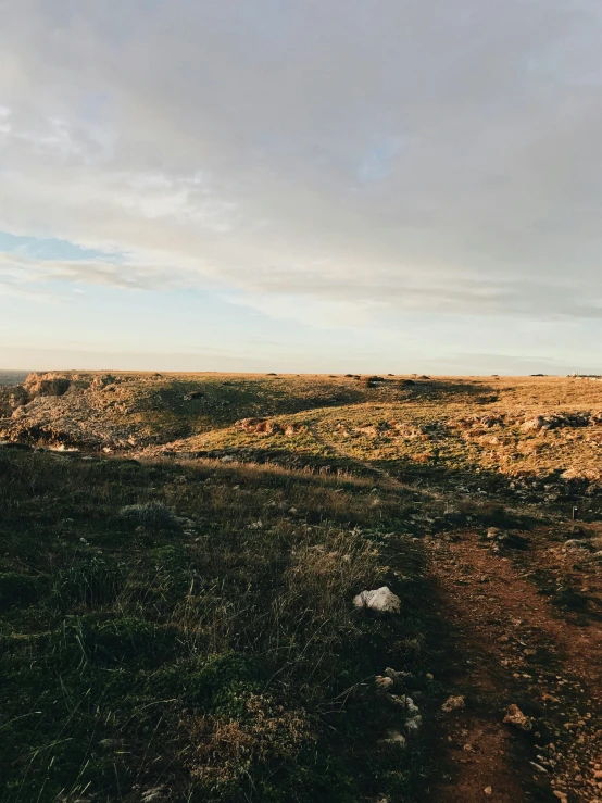 a very empty dirt and grass covered field