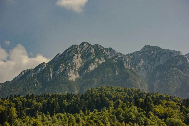 large mountains surrounded by green trees with white clouds