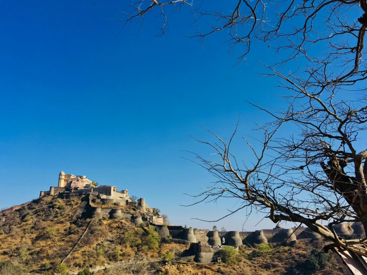 a tree is in front of a mountain that has a castle on it