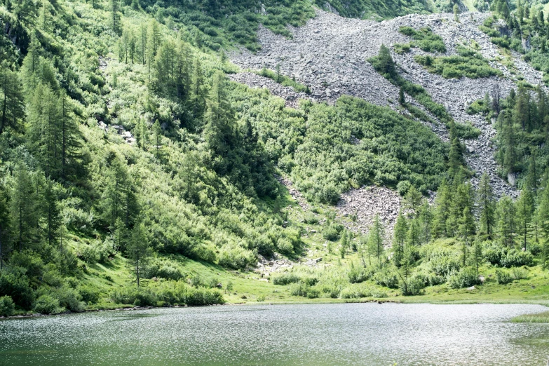 a water and rock covered mountain side with trees