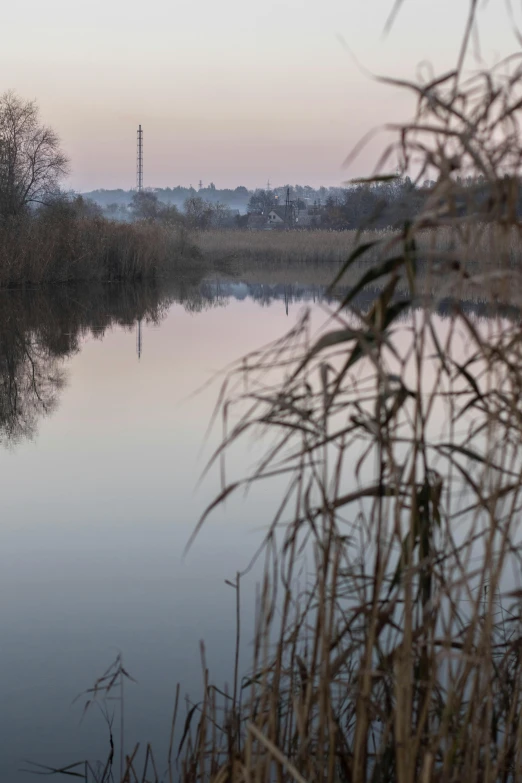 a lone bird swimming on a calm lake