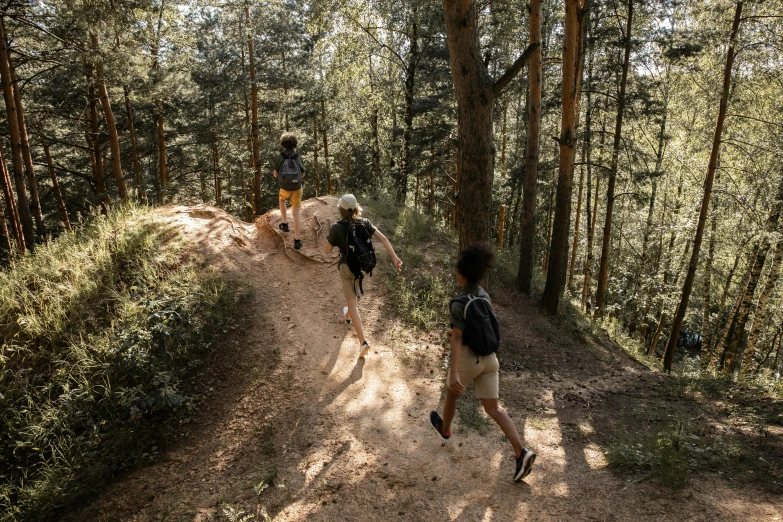 people walking up hill in the woods while others walk