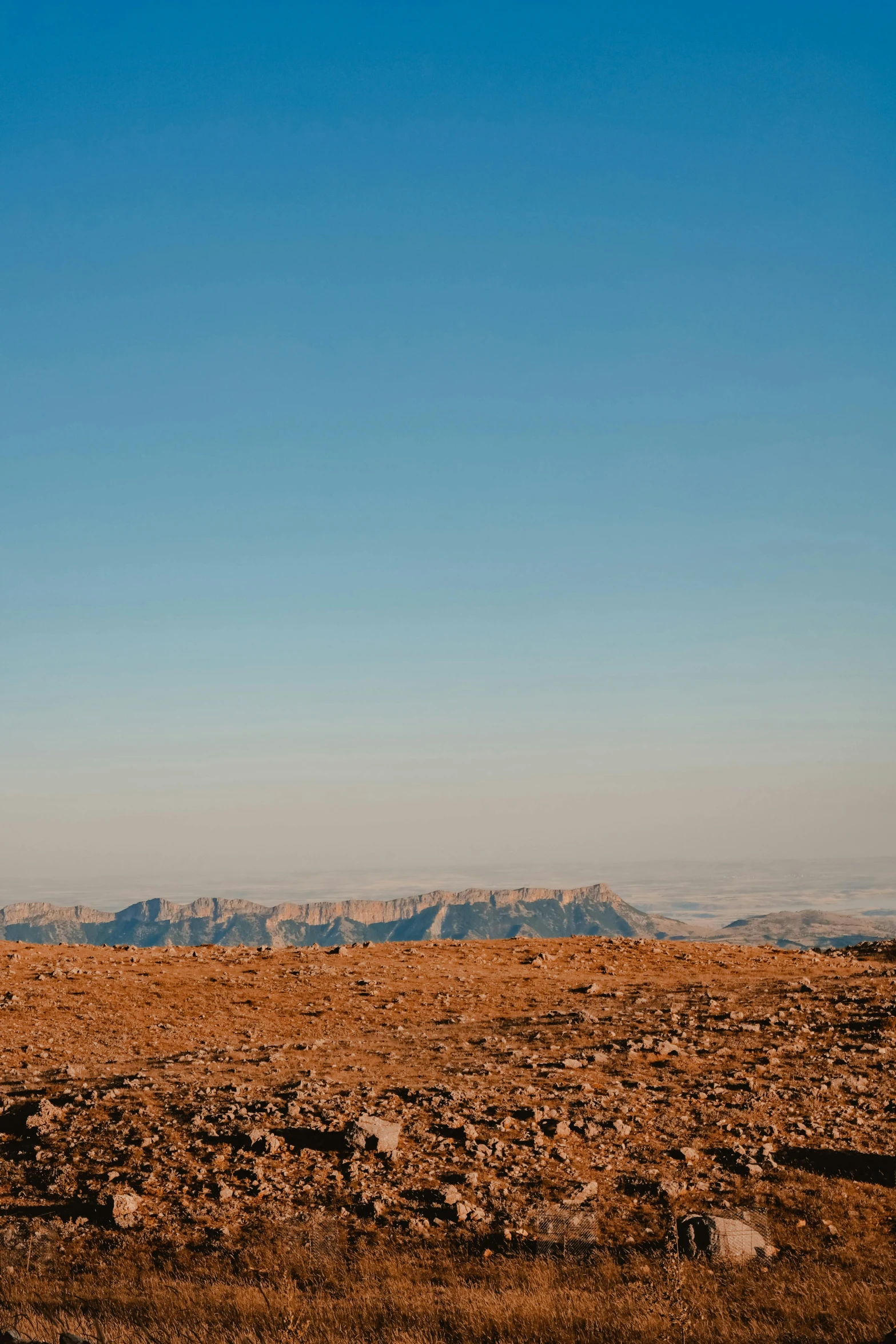 a lone giraffe in a large barren area