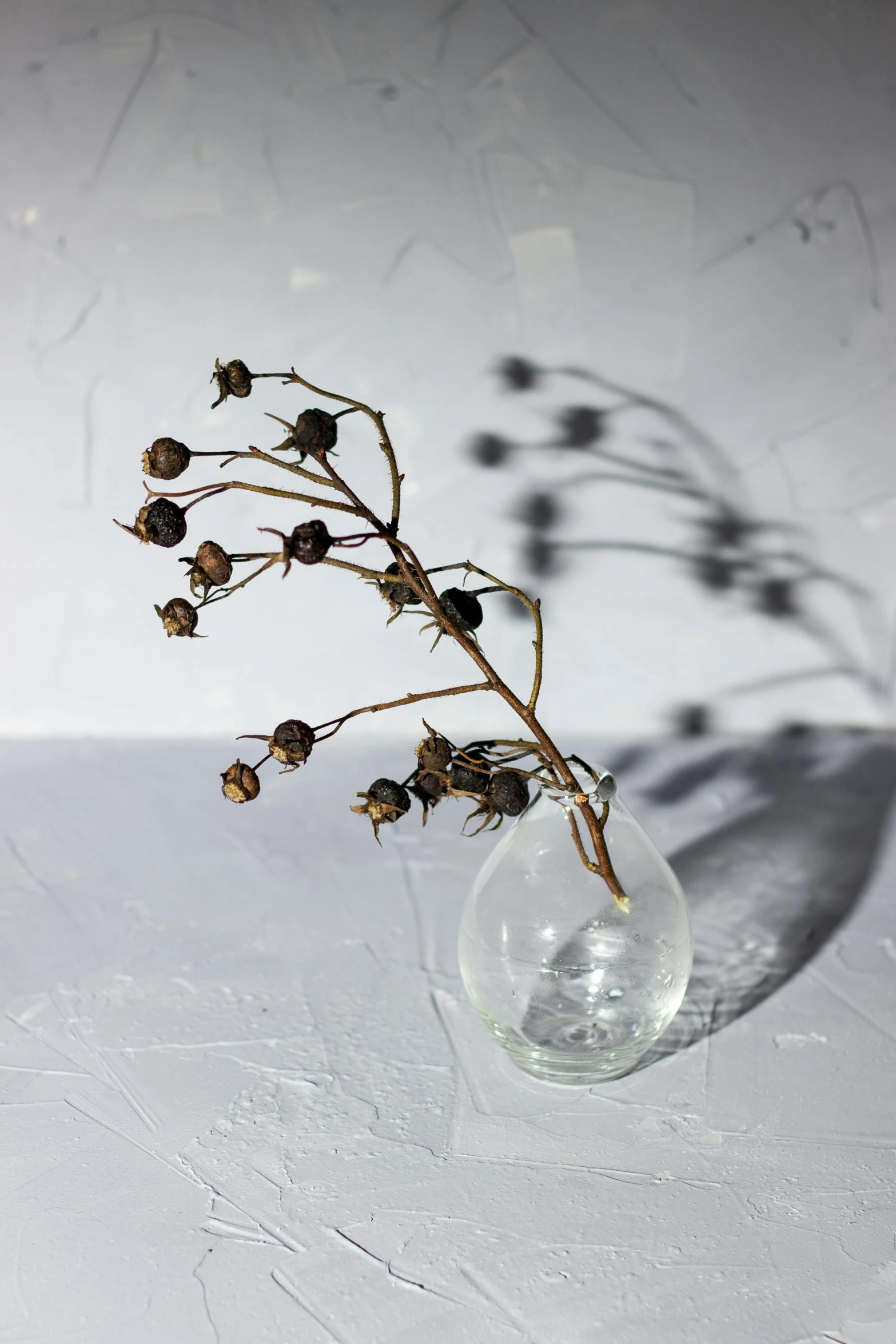 a small vase filled with dead flowers on top of a white surface