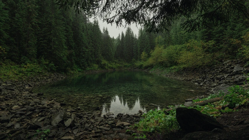 a large body of water surrounded by trees