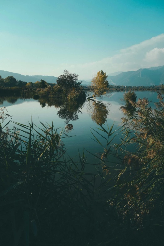 a calm lake is pographed in the daytime