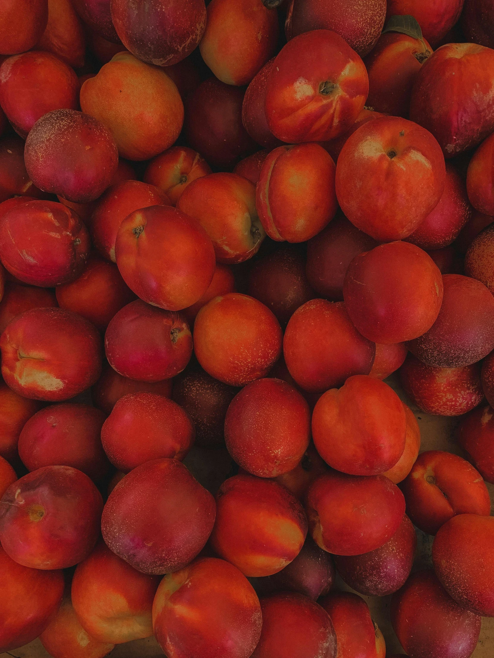 an image of a pile of apples