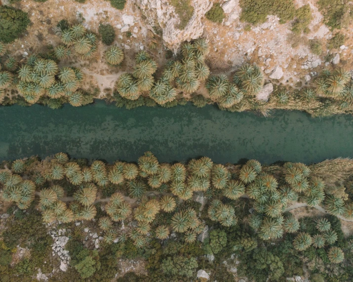 an aerial po shows the water that is surrounded by trees