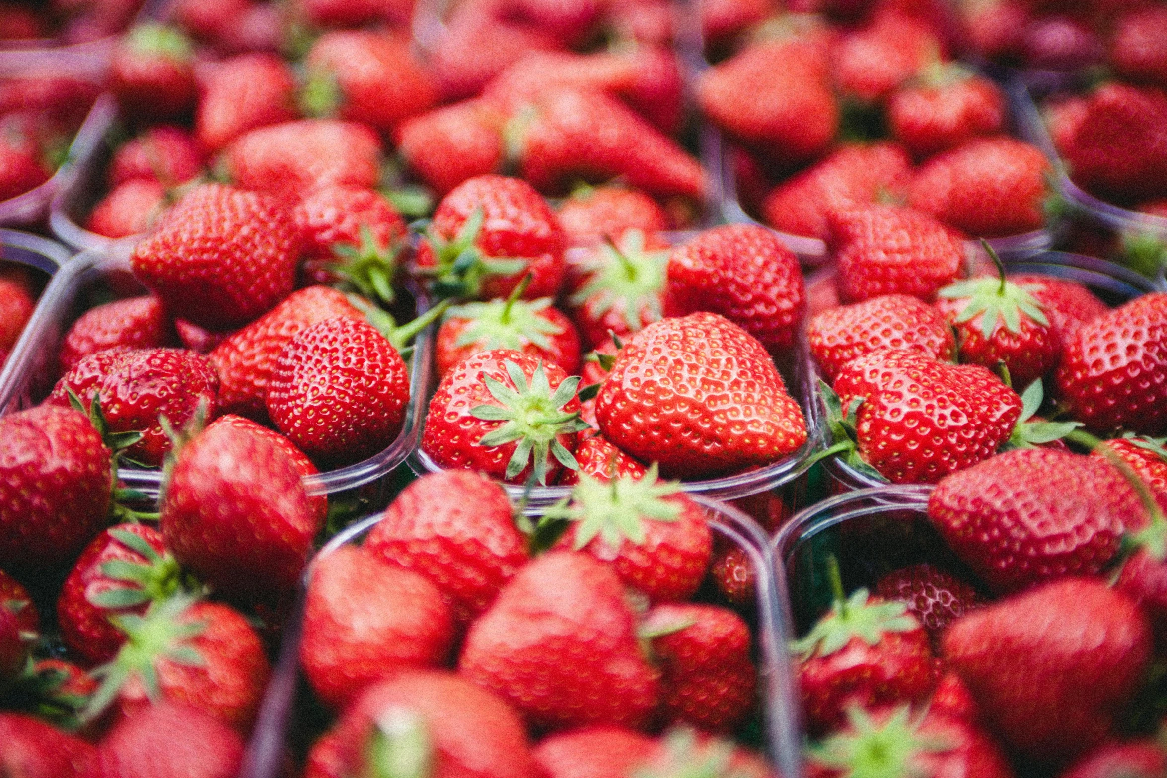 a close up po of red strawberries