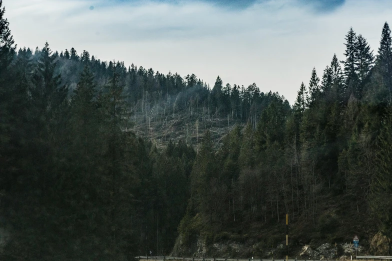 people on a boat are in a lake near the trees