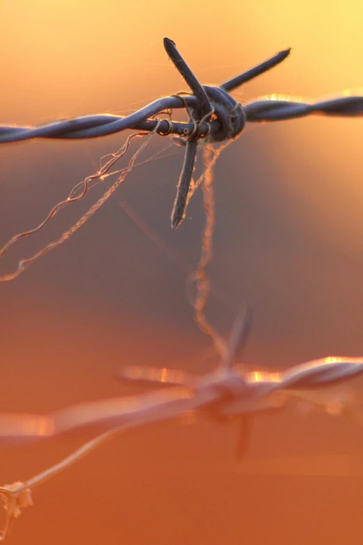 a barbed wire fence at sunset with the sun behind it