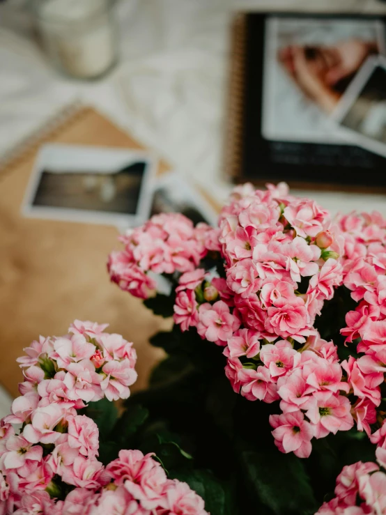 many pink flowers sitting in a vase on a table