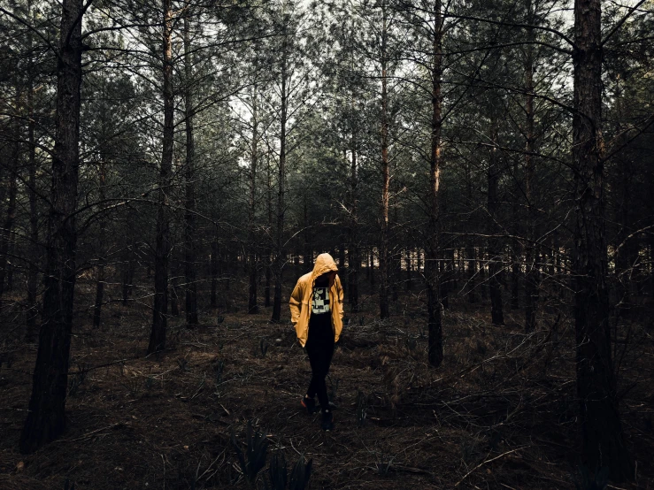 a man in a hooded jacket walking through the woods