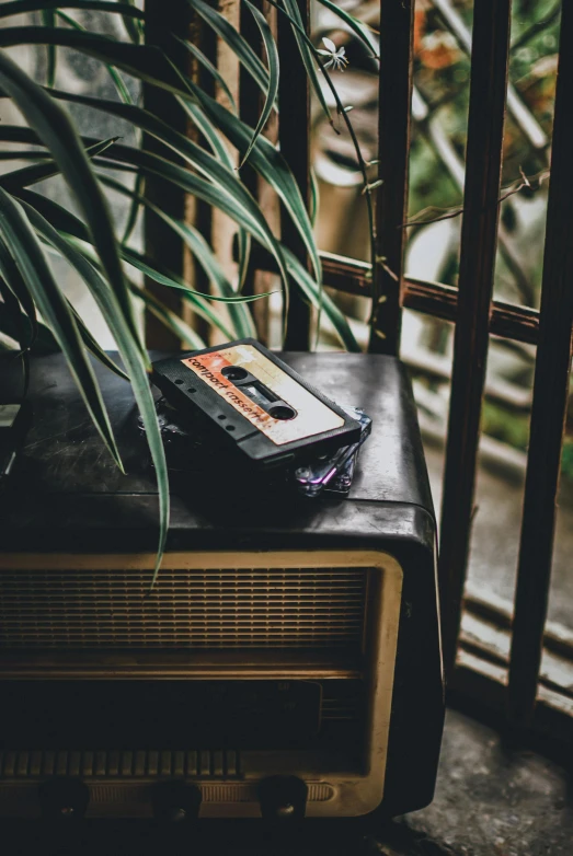 a radio set and some green plants on a table