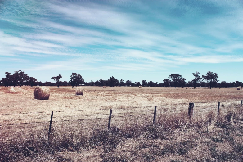 a large field with hay bales on the grass