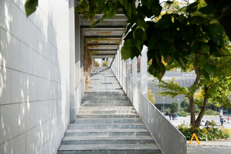 several stairways are seen in front of the building