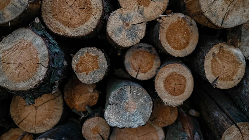 a stack of wooden logs with dirt on them