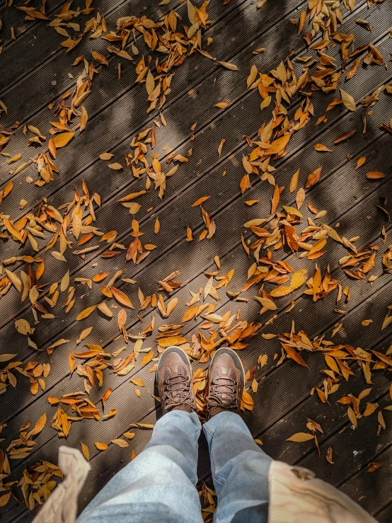two people standing on a walkway near many yellow leaves