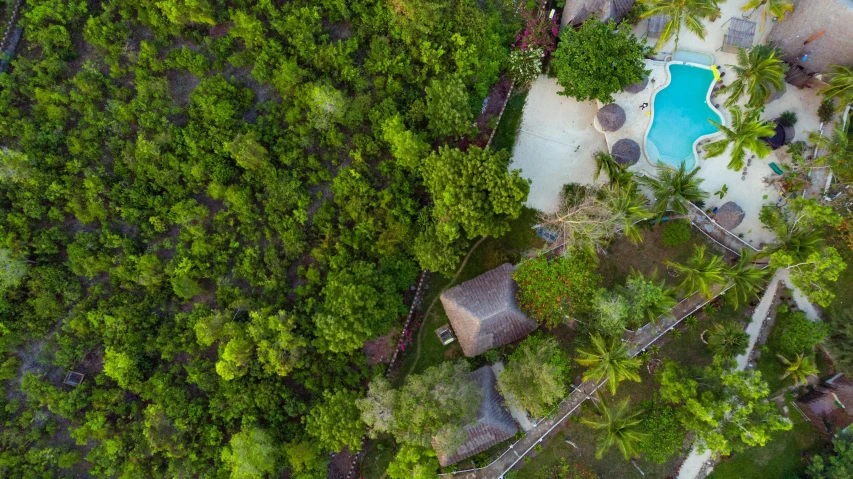 a small pool and trees near a building