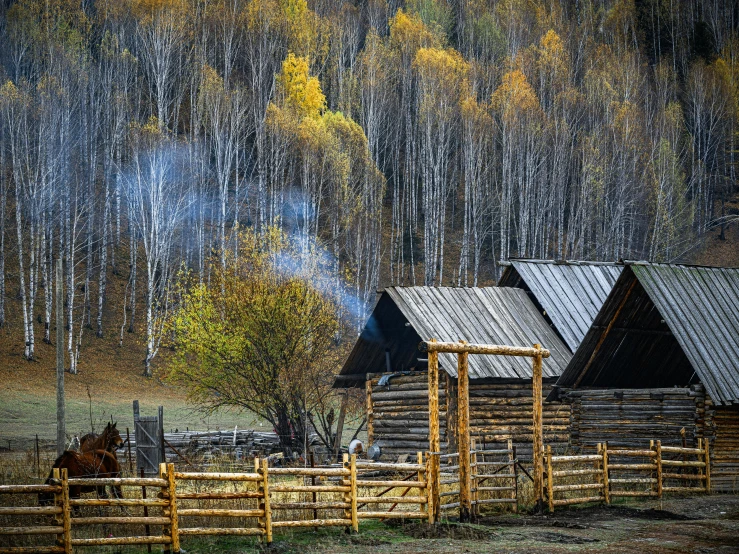 old rustic log cabin and wooden fence surrounded by trees