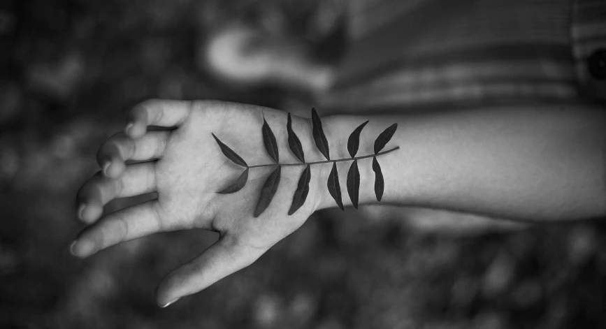 woman's arm with fern tattoo on it